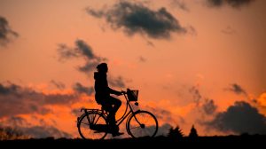 bicycle-bike-cyclist-37836